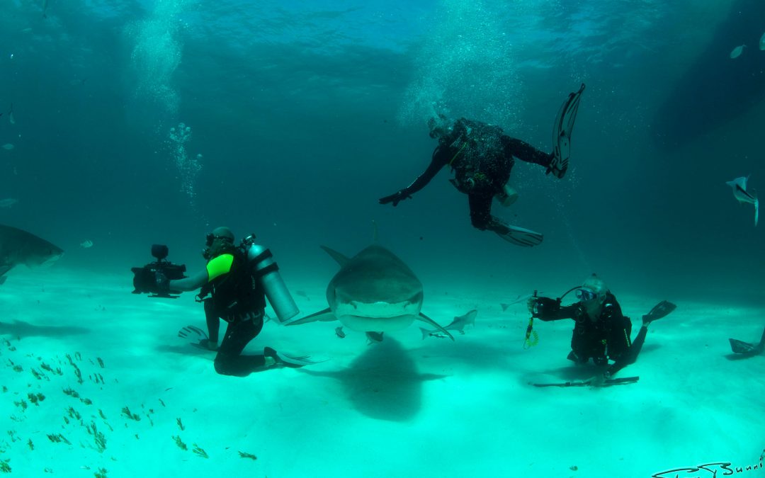 Bimini (Bahamas)